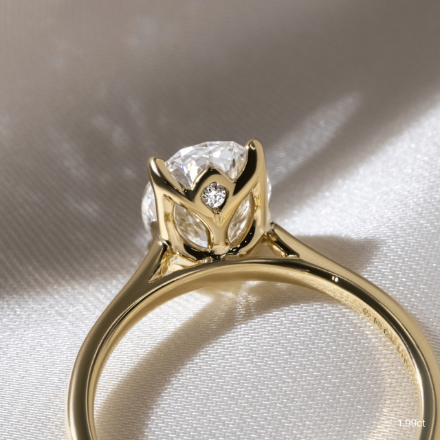 Aerin Yellow Gold Engagement Ring