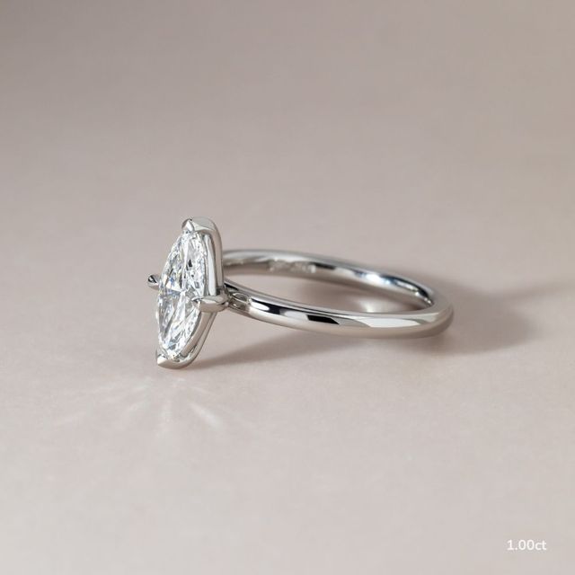 Chelsea Dainty White Gold Engagement Ring