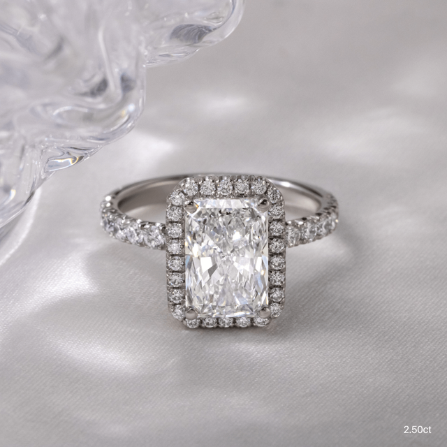 Ayla Platinum Halo Engagement Ring