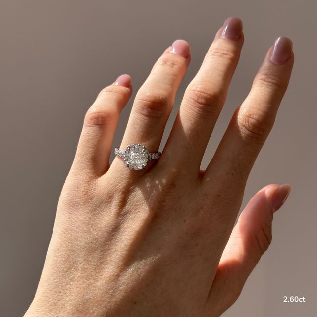 Arya Platinum Halo Engagement Ring