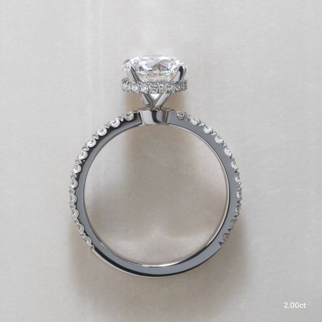 Samara Platinum Hidden Halo Engagement Ring