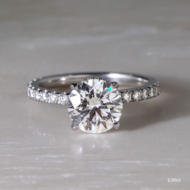 Samara Platinum Hidden Halo Engagement Ring