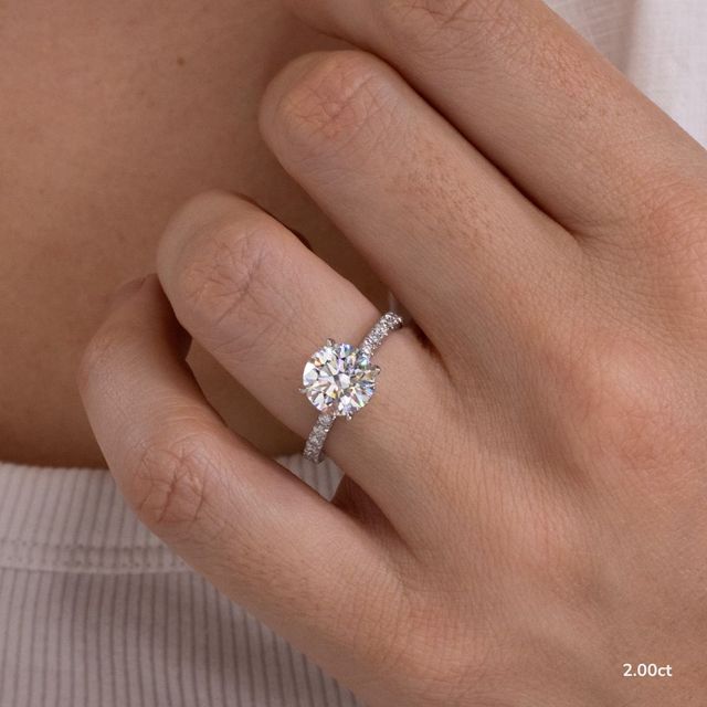 Samara Platinum Hidden Halo Engagement Ring
