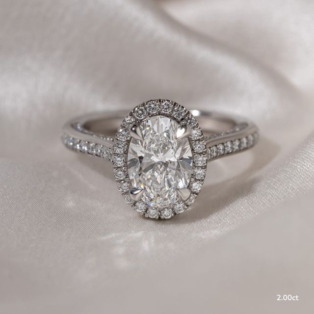 Augusta White Gold Halo Engagement Ring