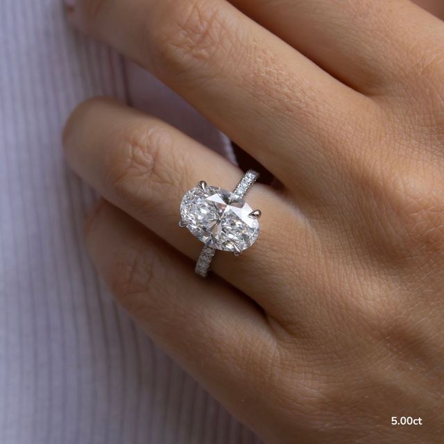 Samara Platinum Hidden Halo Engagement Ring