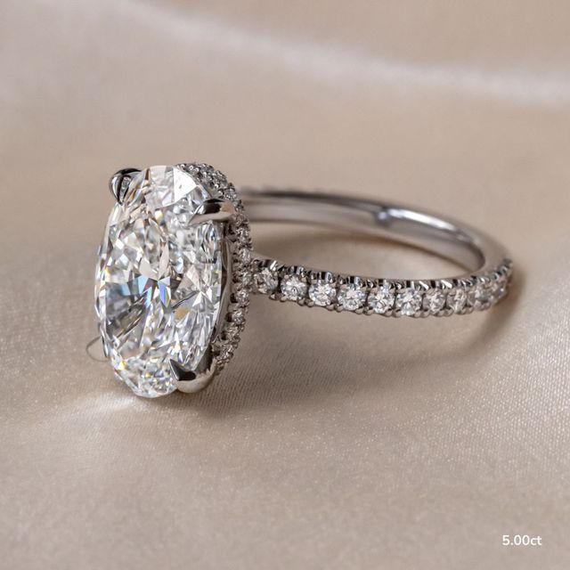 Samara Platinum Hidden Halo Engagement Ring
