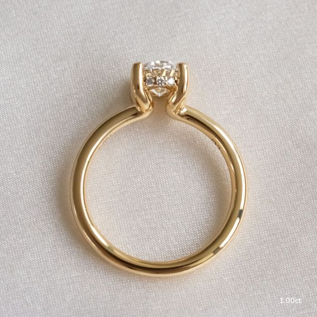 Sasha Yellow Gold Hidden Halo Engagement Ring