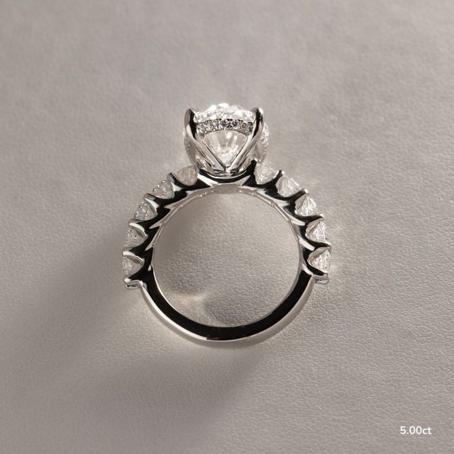 Regent Platinum Hidden Halo Engagement Ring