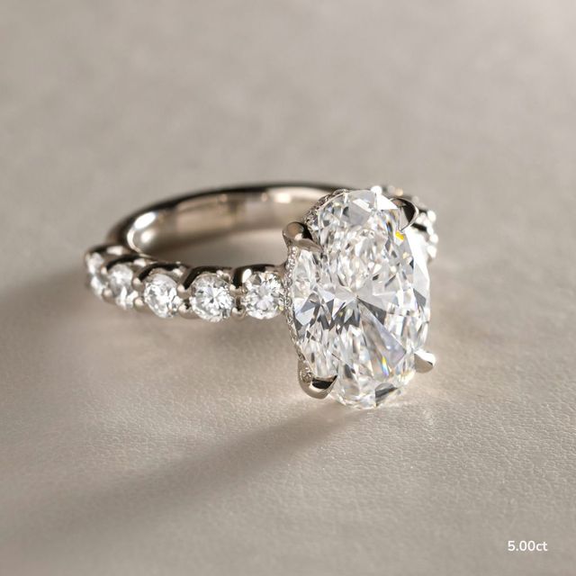 Regent Platinum Hidden Halo Engagement Ring