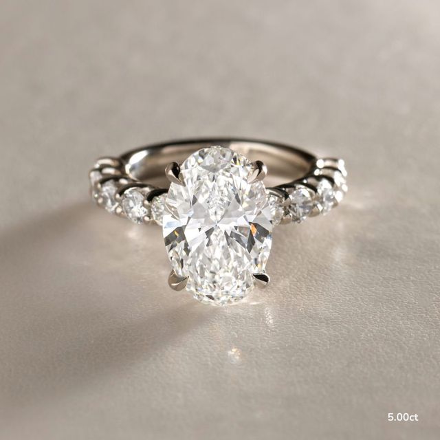 Regent Platinum Hidden Halo Engagement Ring