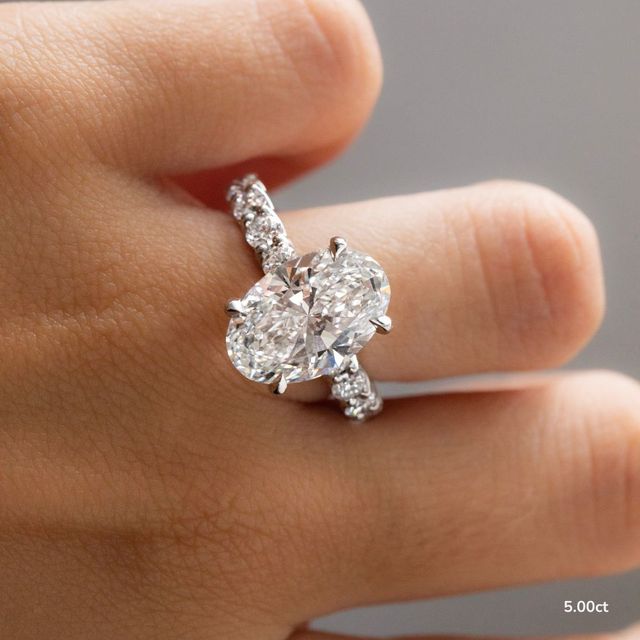 Regent Platinum Hidden Halo Engagement Ring