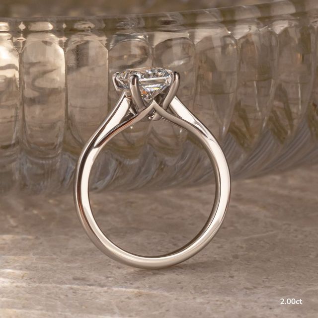 Olina Platinum Modern Engagement Ring