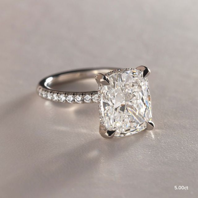 Serene Platinum Hidden Halo Collet Set Engagement Ring
