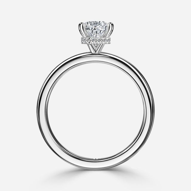 Samara Plain Band Platinum Hidden Halo Engagement Ring