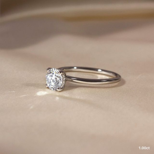 Kate Dainty Platinum Engagement Ring