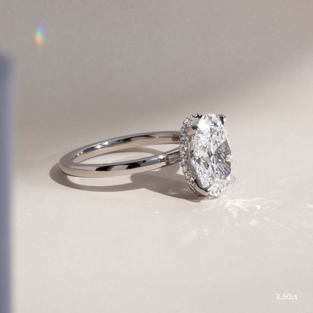 Samara Plain Band Platinum Hidden Halo Engagement Ring