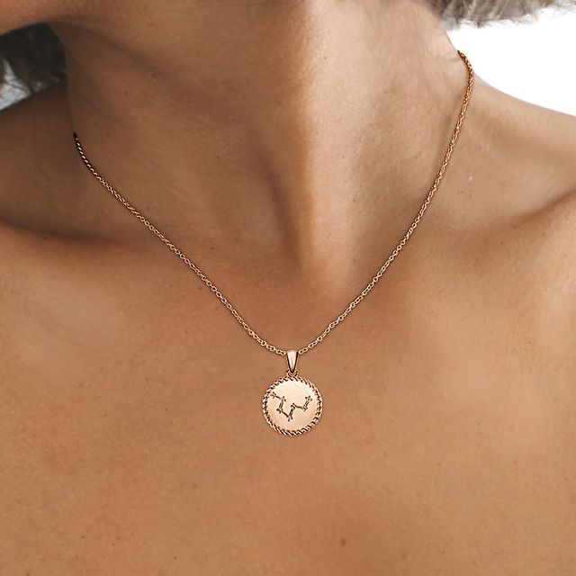 Rose Gold Pisces Diamond Star Sign Coin Necklace