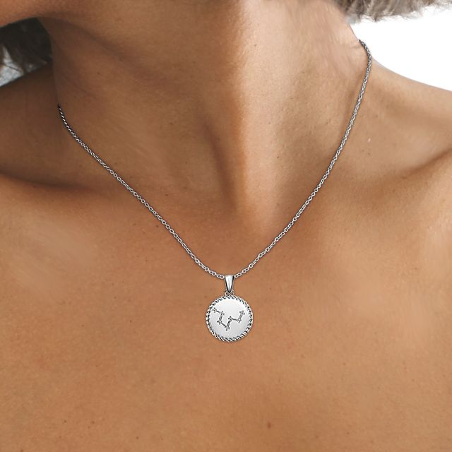 White Gold Pisces Diamond Star Sign Coin Necklace