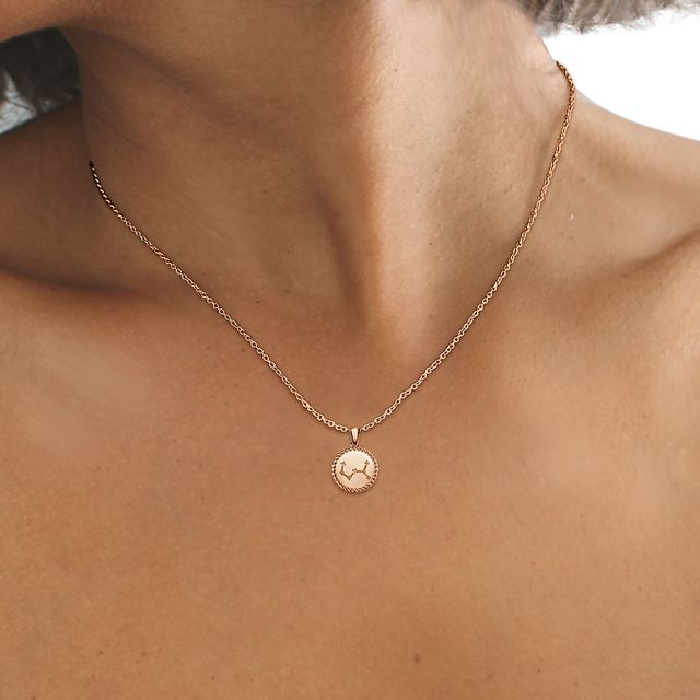 Rose Gold Scorpio Diamond Star Sign Coin Necklace