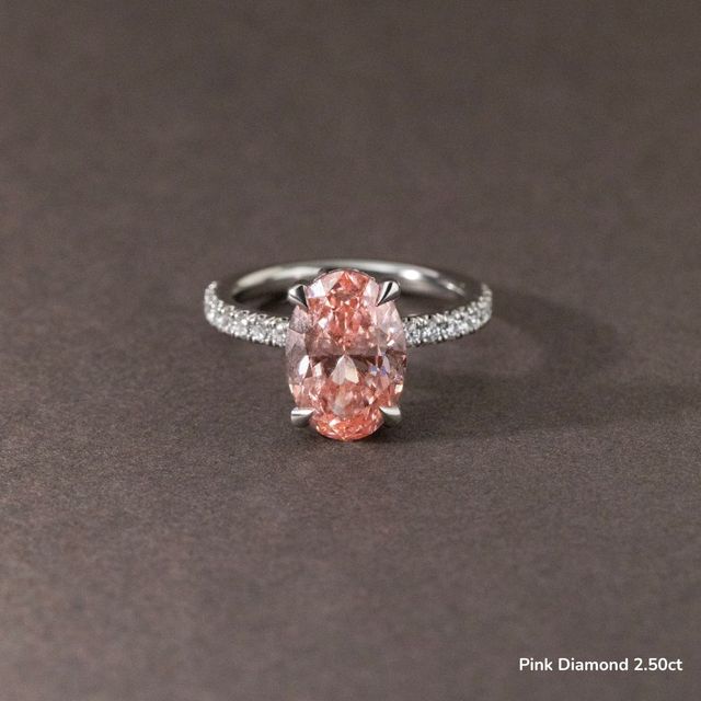 Kate Platinum Hidden Halo Engagement Ring