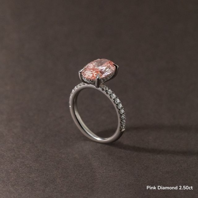 Kate Platinum Hidden Halo Engagement Ring