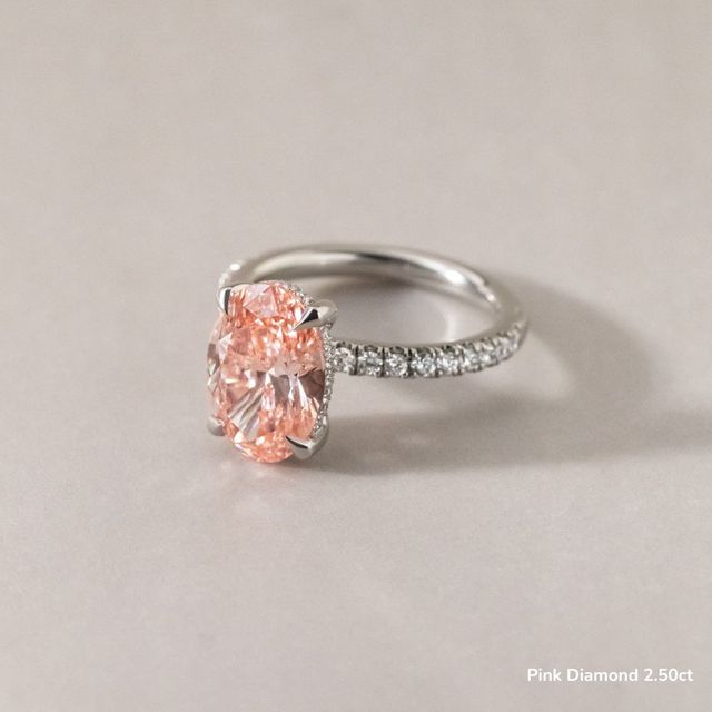 Kate Platinum Hidden Halo Engagement Ring