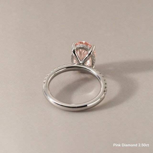 Kate Platinum Hidden Halo Engagement Ring