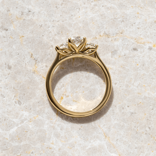1.00 Carat Round Diamond Trilogy Yellow Gold Engagement Ring - Rohini