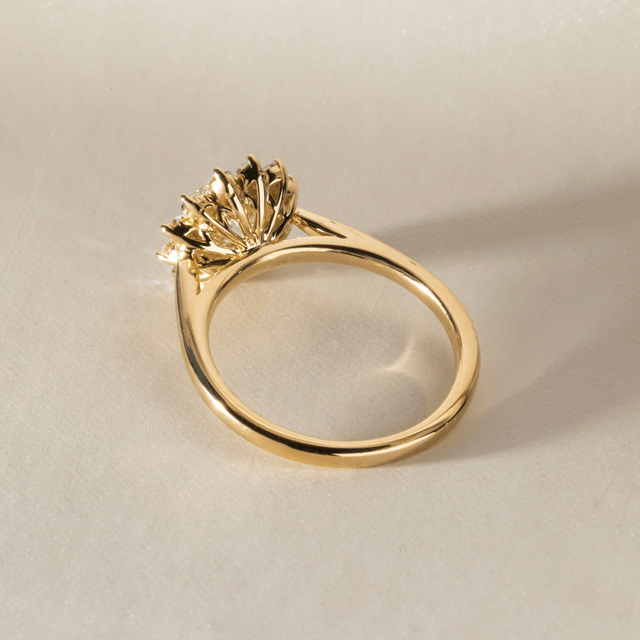 0.75 Carat Round Diamond Cluster Ring In Yellow Gold - Windermere