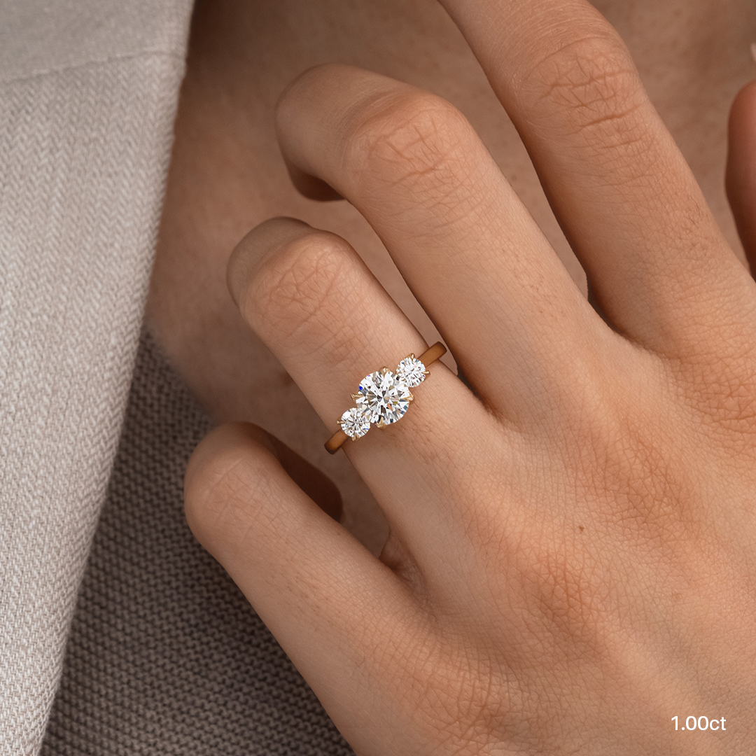 Large Diamond Halo Engagement Ring, Double Flower Halo, 3 Row Pave  Diamonds14kt / White / 3-15 | Diamantes, Thing 1, That way