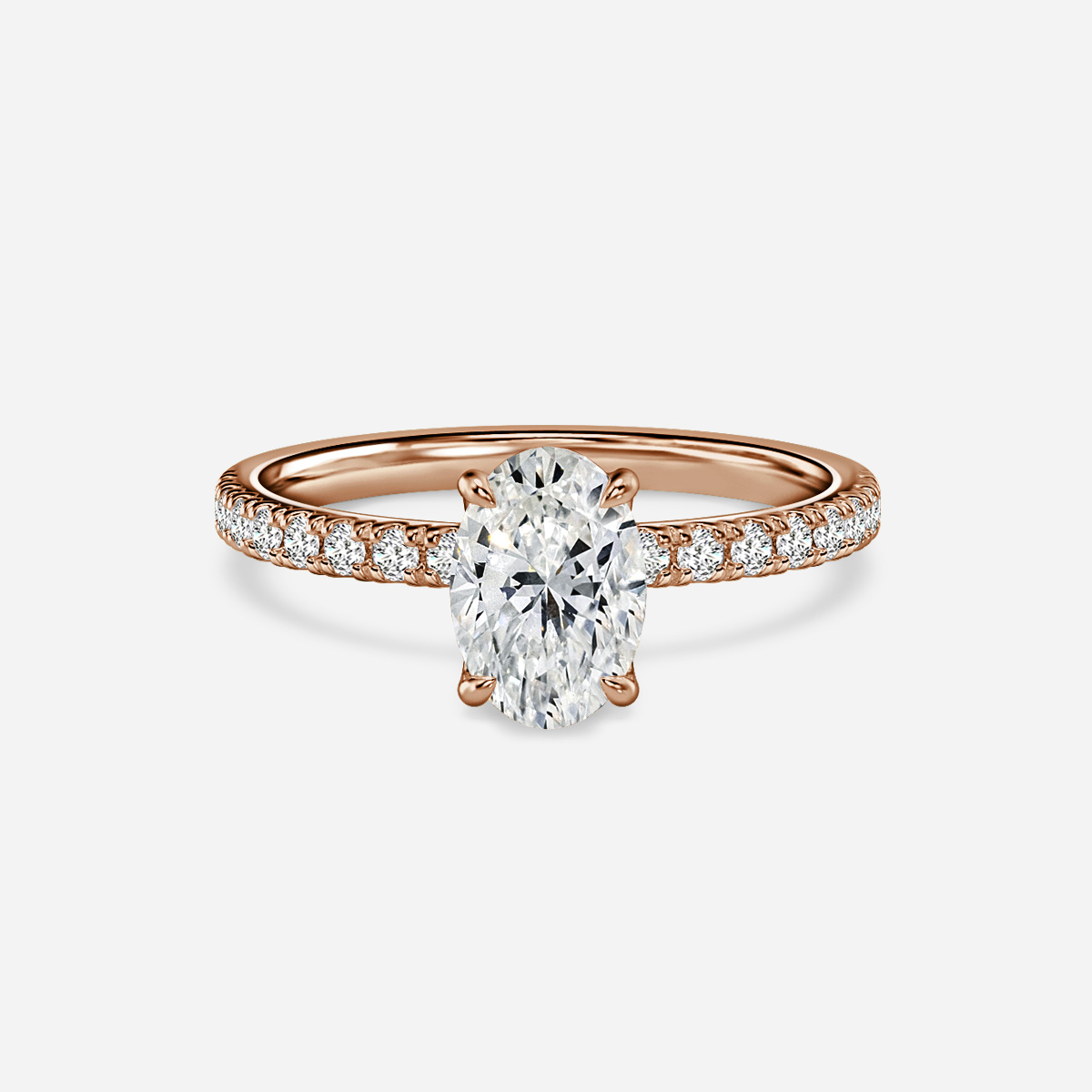 Delaila Pave Flower